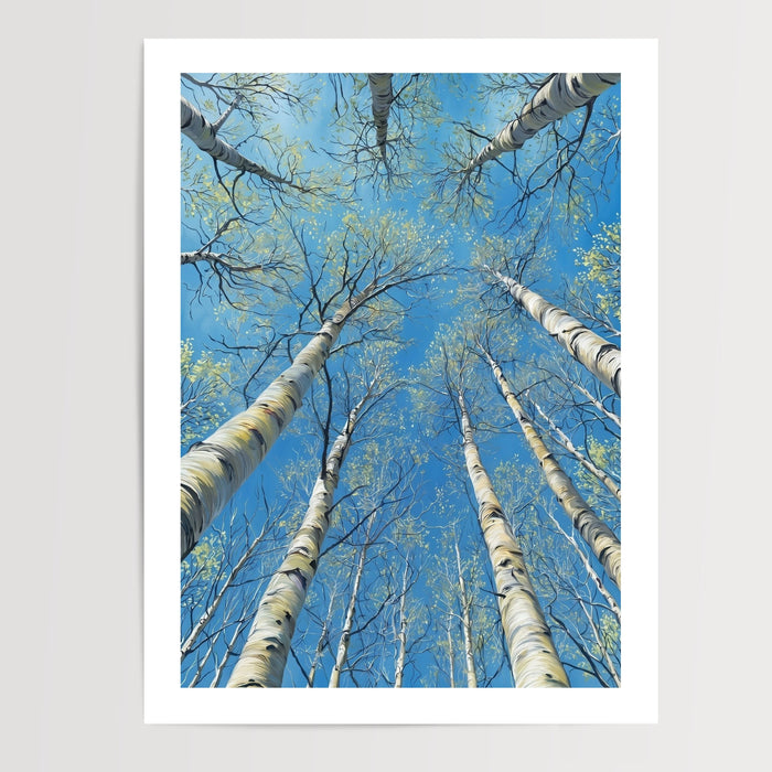 Poster Bouleaux - L'appel du ciel entre les troncs blancs — Vierge - poster-presentation-produit — passe-partout blanc