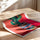 Poster Cactus en fleurs - L'éclat joyeux du Mexique — Vierge - poster-enroullé — passe-partout blanc