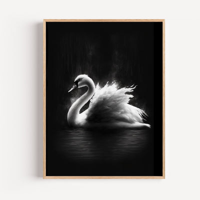 Schwan Poster – Zeitlose Eleganz in Schwarz-Weiß