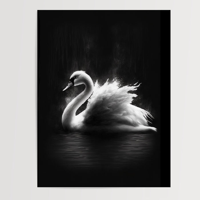 Poster Cygne - Grâce épurée en noir et blanc — Vierge - poster-presentation-produit