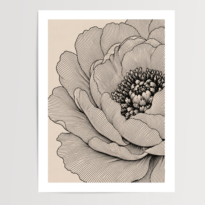 Poster Fleur botanique - Élégance gravée noir et blanc — Vierge - poster-presentation-produit — passe-partout blanc