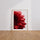 Poster Fleur rouge - Éclat passionné pour votre intérieur — Vierge - living-room — passe-partout blanc