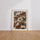 Poster Fleurs de coton - Un nuage de douceur naturelle — Vierge - living-room — passe-partout blanc