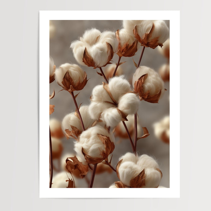 Poster Fleurs de coton - Un nuage de douceur naturelle — Vierge - poster-presentation-produit — passe-partout blanc