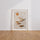Poster Galets zen - Chemin de pierres sous un soleil doré — Vierge - living-room — passe-partout blanc