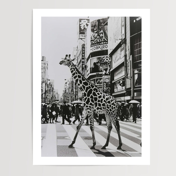 Poster Girafe urbaine - Rencontre insolite en noir et blanc — Vierge - poster-presentation-produit — passe-partout blanc