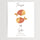 Poster personnalisé horoscope poisson pour chambre bébé avec prénom date naissance et illustration aquarelle douce