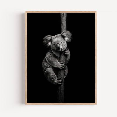 Black and White Koala Wall Art Print – Calm, Tender Look