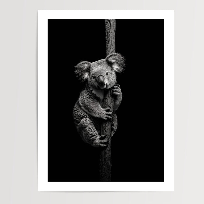 Poster Koala noir et blanc - Douceur paisible d'un regard tendre — Vierge - poster-presentation-produit — passe-partout blanc
