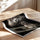 Poster Lion et lionceau - Tendresse sauvage en noir et blanc — Vierge - poster-enroullé — passe-partout blanc