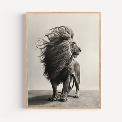 Majestic lion wall art in black and white - calm, powerful gaze
