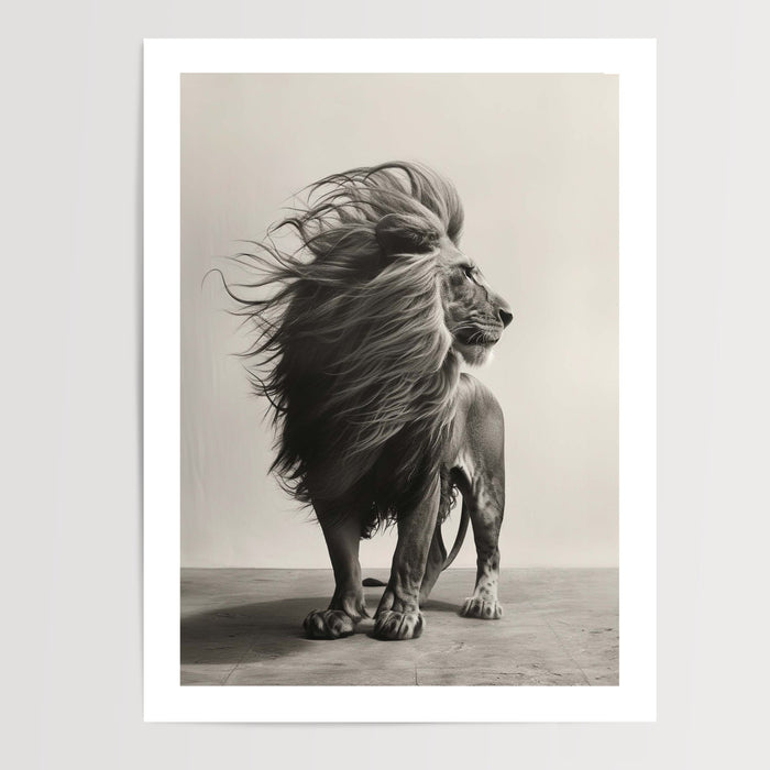 Poster Lion - Puissance tranquille et regard majestueux en noir et blanc — Vierge - poster-presentation-produit — passe-partout blanc