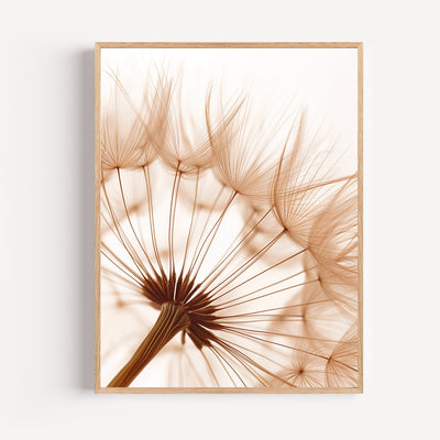 Poster Pissenlit - Envol léger d'une fleur qui rêve