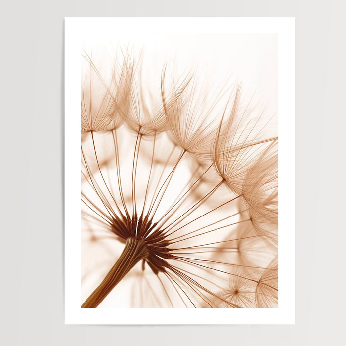 Poster Pissenlit - Envol léger d'une fleur qui rêve — Vierge - poster-presentation-produit — passe-partout blanc
