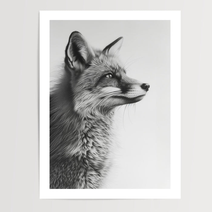 Poster Renard noir et blanc - Le regard perçant d'un esprit sauvage — Vierge - poster-presentation-produit — passe-partout blanc