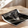 Poster T-Rex - Le grand dinosaure qui fait rugir l'imagination — Vierge - poster-enroullé — passe-partout blanc