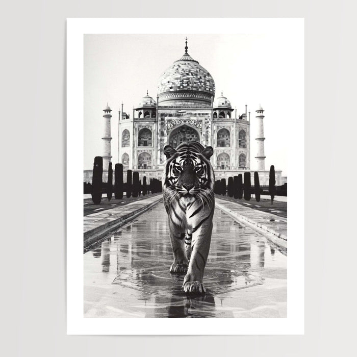 Poster Tigre au Taj Mahal - Majesté sauvage en noir et blanc — Vierge - poster-presentation-produit — passe-partout blanc