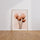 Poster Tulipes modernes - Douceur romantique en fleurs — Vierge - living-room — passe-partout blanc