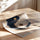 Poster Yin Yang bleu et or - Souffle d'équilibre et de sérénité — Vierge - poster-enroullé — passe-partout blanc