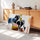 Abstract black horse canvas art with color blocks, retro sideboard wall decor