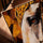 Royal golden horse equestrian wall art for a Scandinavian dining room