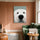 Tableau chien blanc regard tendre fond vert pour décoration murale salon moderne