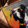 Multicolor pop art dog wall art for Scandinavian office decor
