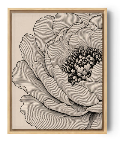 Tableau fleur pivoine dessin au trait noir sur fond beige art mural botanique décoratif