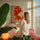 Tableau fleurs coquelicots oranges fond beige accroché dans salon coloré décoration murale botanique