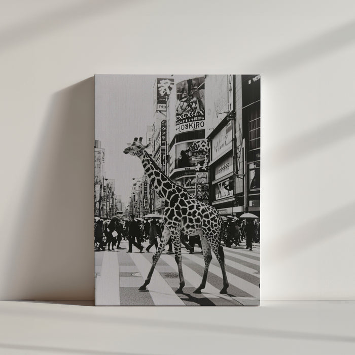toile monochrome, girafe qui marche, passage piéton, piétons, grands immeubles.