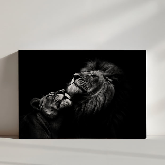 Black and white photo of a lion and lioness in an intimate, emotional moment