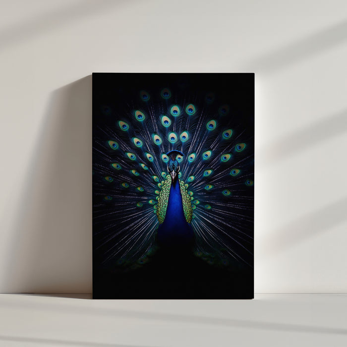 Peacock tail fan display with brilliant blue-green eye motifs glowing against a black backdrop - detailed, high-contrast peacock art print