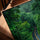 Forest landscape with winding road wall art for minimalist office