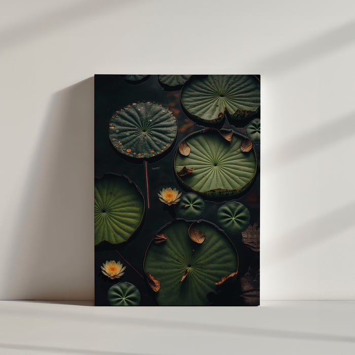 Tableau photographie Nénuphars, symbole de renaissance et vie