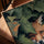 Fox hidden in foliage wall art for living room, golden oak frame