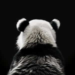 Photo canvas of a stunning black and white panda from behind