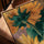Tournesols peints tableau pour salon toile texturée cadre chêne doré