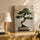 Modern zen bonsai canvas above sideboard, soft beige abstract background, Japanese-inspired art