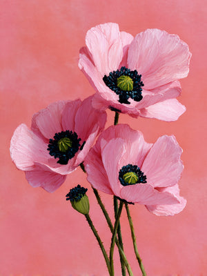 Tableau de fleurs roses éclatantes sur fond corail, style botanique frais et romantique