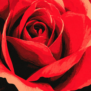 Close-up wall art of a stylized red rose, romantic and artistic vibe