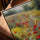 Impressionist poppy field canvas wall art for the living room, golden oak frame