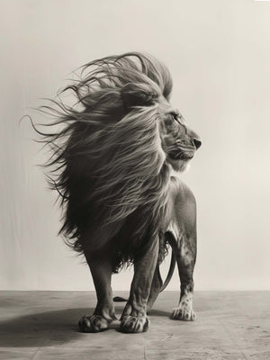 wild animal canvas art, black and white photography.