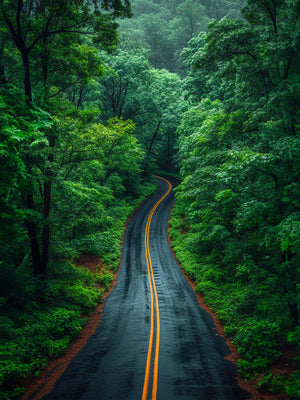 Winding forest road art, lush nature scene, serenity and escape