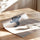 Affiche personnalisée scorpion bleu-gris avec prénom naissance pour décoration chambre bébé