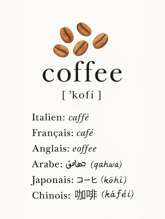 Minimalist poster featuring the word coffee in multiple languages with coffee beans - modern, clean wall art
