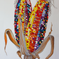 Image détaillée d'épis de maïs colorés.