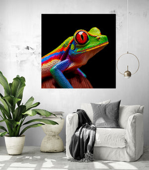 Colorful Frog Art Print, hanging above a white armchair, creating an intimate atmosphere with a touch of nature