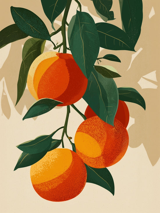 Illustration de branches d'agrumes avec oranges et feuilles vertes, style vintage pour déco cuisine