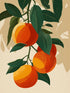 Illustration de branches d'agrumes avec oranges et feuilles vertes, style vintage pour déco cuisine