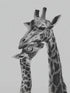 Monochrome giraffe illustration capturing family tenderness, perfect for a modern living room.